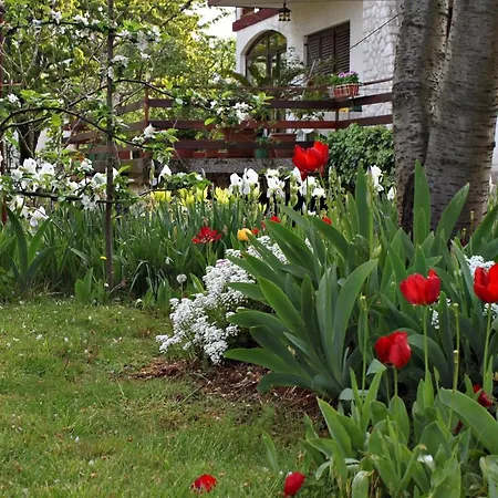 5284a Daire Malinska